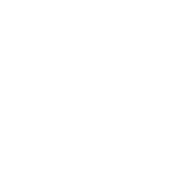 CHFI logo
